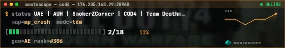 Console badge preview