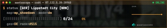Console badge preview