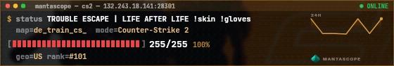 Console badge preview
