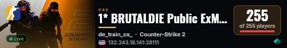 1* BRUTALDIE Public ExMod live status badge