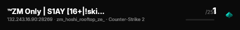 ™ZM Only | S1AY [16+|!skin;!KNIFE;!GL] live status badge