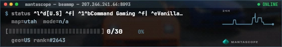 Console badge preview