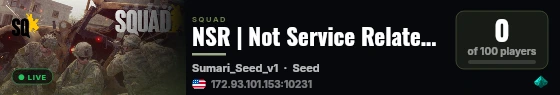 NSR | Not Service Related | discord.gg/NSR live status badge
