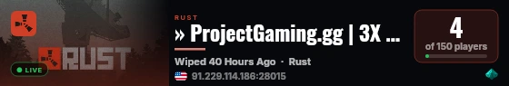 » ProjectGaming.gg | 3X Vanilla | Solo/Duo | WIPED 8/22 live status badge
