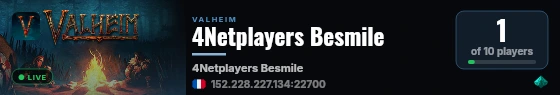 4Netplayers Besmile live status badge