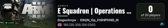 E Squadron | Operations Server live status badge