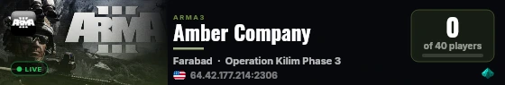 Amber Company live status badge