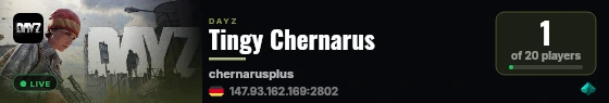 Tingy Chernarus live status badge