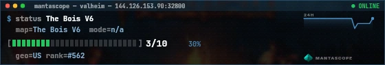 Console badge preview
