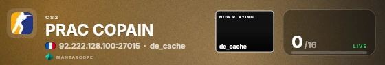 Mesh badge preview