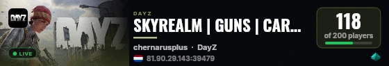 SKYREALM | GUNS | CARS | EVENTS | PVP | 3PP live status badge
