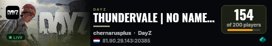 THUNDERVALE | NO NAMEPLATES | SILENCERS++ | NO RED DOTS | DARK NIGHTS | TOTAL STEALTH live status badge