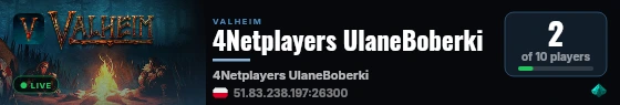 4Netplayers UlaneBoberki live status badge