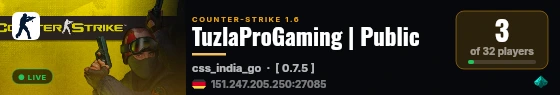 TuzlaProGaming | Public live status badge