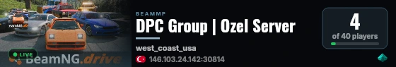 DPC Group | Ozel Server live status badge