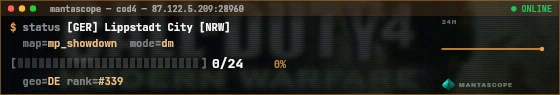 Console badge preview