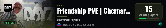 Friendship PVE | Chernarus 2 live status badge