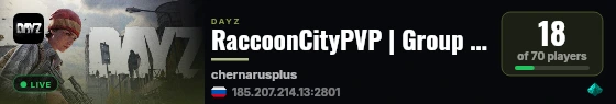 RaccoonCityPVP | Group 5 Max live status badge